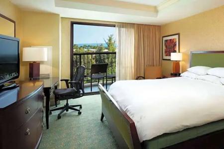 Hilton Waikoloa Village - 175