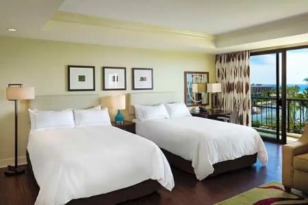 Hilton Waikoloa Village - 243