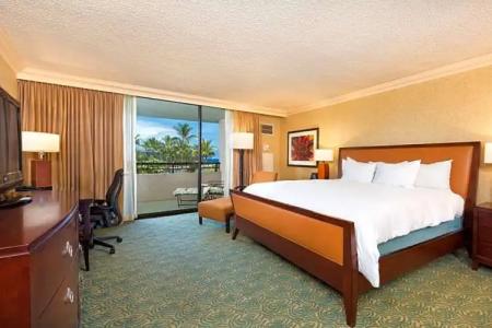 Hilton Waikoloa Village - 173
