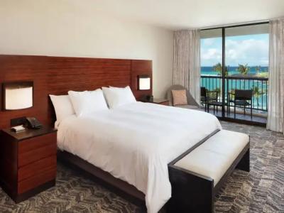 Hilton Waikoloa Village - 269