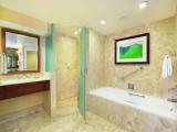 1 Bedroom Suite with ocean view