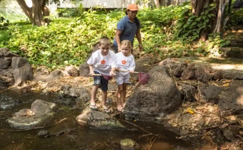 Mauna Kea Beach, Autograph Collection - 23