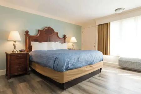 Wonder View Inn - 28