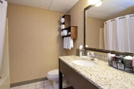 Comfort Inn West - 8