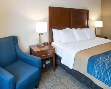 Comfort Inn West - 41