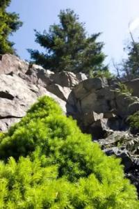 The Grand Nanaimo - 2