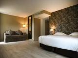 Superior room with lake view