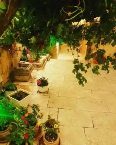 Iris Cave Cappadocia - 20