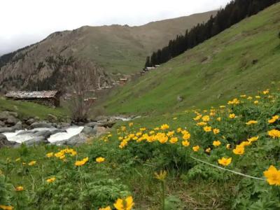 Yedigoller & Restaurant - 44