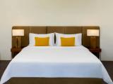 Deluxe Double room with pool view