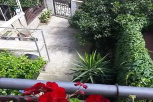 Radovic Apartments, Budva