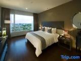Premier Suite