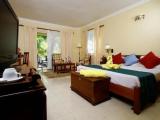 Superior Double room with balcony and with garden view