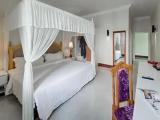 Grand Double Villa