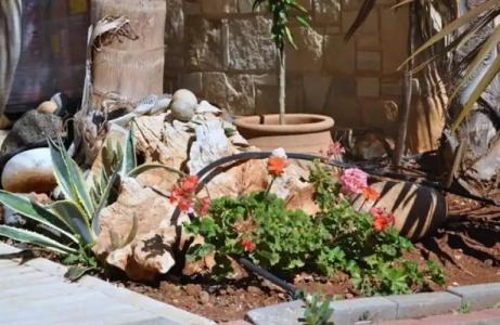 Filion Suites Resort & Spa - 63