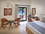 Premium Double room with pool view