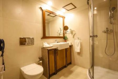 Atithi Resort & Spa - 8