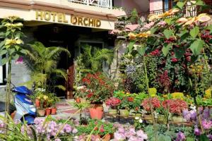 Hotel «Orchid», Pokhara
