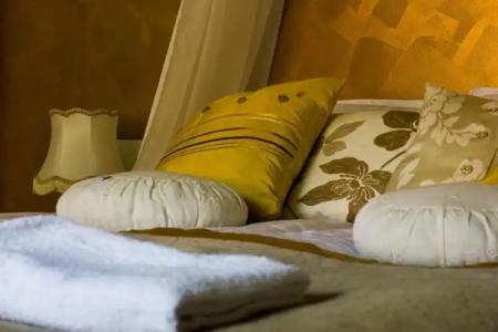 Salpalinjan Hovi - 45