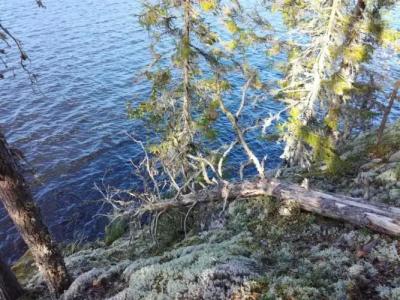 Salpalinjan Hovi - 1