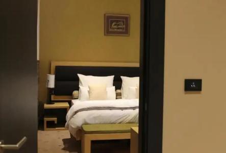 Atera Business Suites - 216