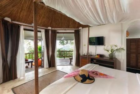 The Jungle Club - SHA Extra Plus - 52