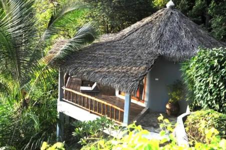 The Jungle Club - SHA Extra Plus - 60