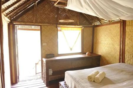 The Jungle Club - SHA Extra Plus - 3