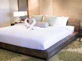 Presidential Double Suite