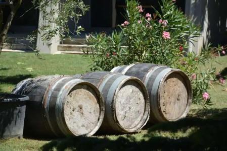 Best Western Plus Clos Syrah - 21