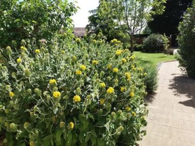 Hôtel Le Mas del Pechs - 32