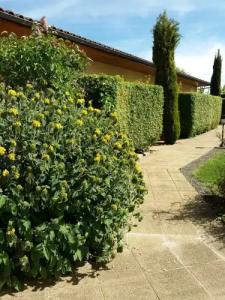 Hôtel Le Mas del Pechs - 37