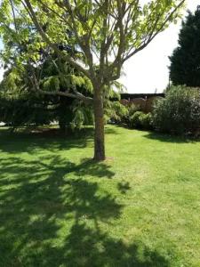 Hôtel Le Mas del Pechs - 38