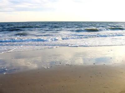 L'Hôtel Particulier Ascott - 12