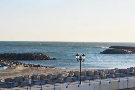 Le Dauphin Bleu - 26