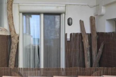 Le Dauphin Bleu - 79