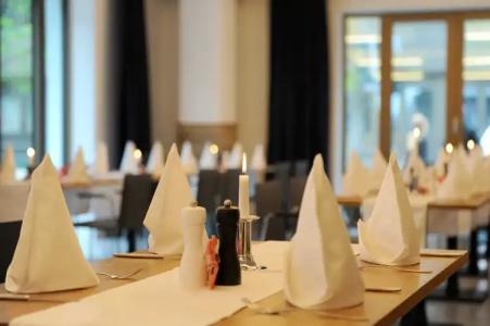 Bayer 89 Vi Vadi - 19