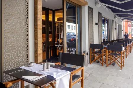 Bayer 89 Vi Vadi - 13