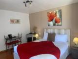 Standard Double room with garden view