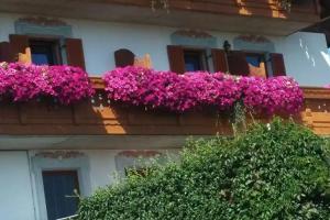 Residence Condor, Maranza