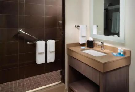 Hyatt House Atlanta Downtown - 29