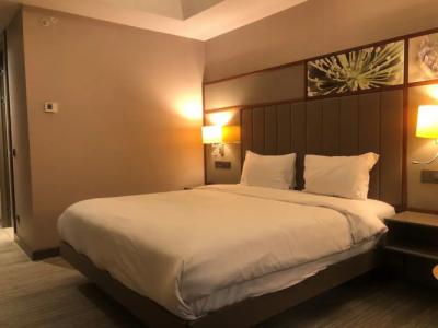 Hilton Garden Inn Istanbul Airport - 116