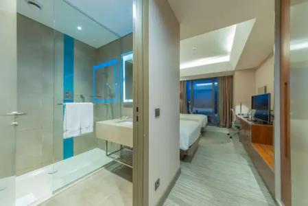 Hilton Garden Inn Istanbul Airport - 127