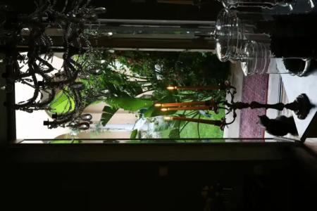 Jardins Secrets - 19