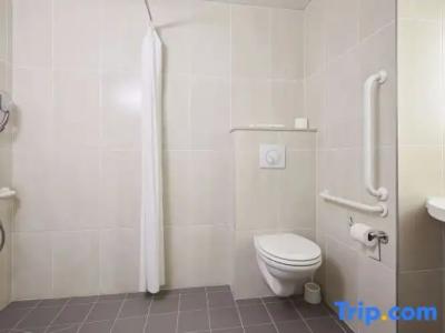 B&B Mulhouse Centre - 57