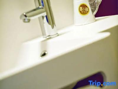 B&B Mulhouse Centre - 58