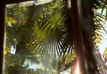 Hôtel Oceania Le Métropole - 20