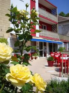 Hôtel Les Myrtes - 0