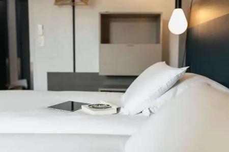 Kyriad Metz Centre - Restaurant Moze - 2