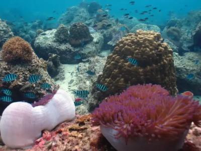 Sara Beachfront Boutique Resort - 24